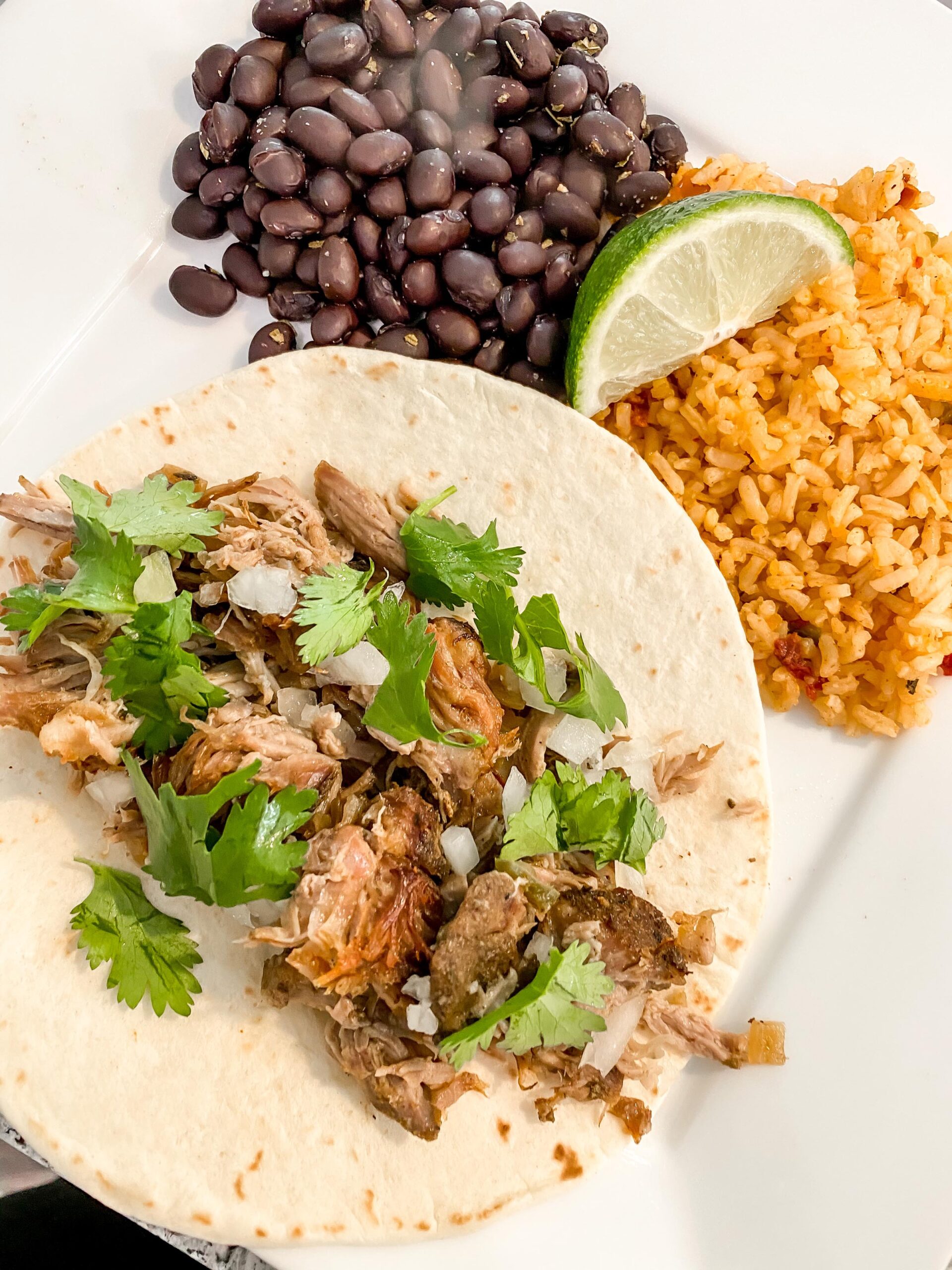 Crispy Pork Carnitas Recipe
