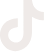 tiktok icon